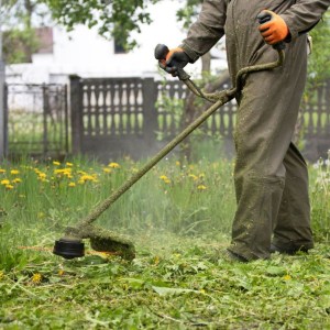 Grass Strimming, Grass Cutting