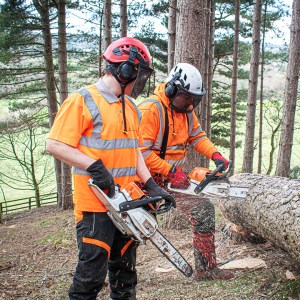 Tree Surgery, Tree Care, Gardener Service