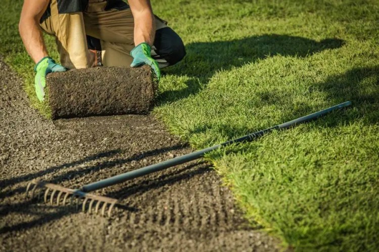 turfing-new-lawns